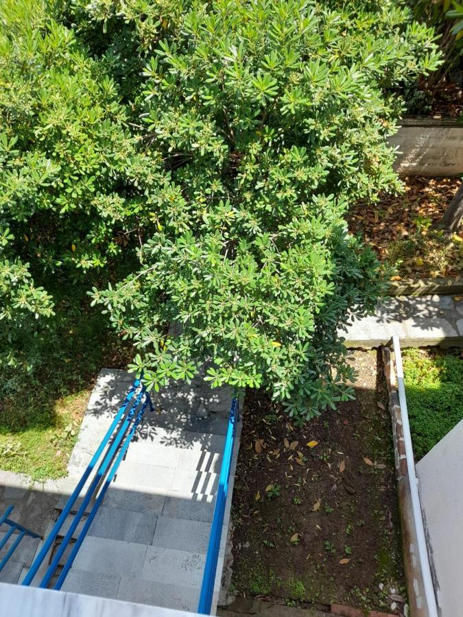 Maisonette Basilissa Nea Poteidaia Exterior foto